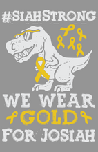 Load image into Gallery viewer, Josiah’s Journey