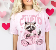 Load image into Gallery viewer, Not Today Cupid (remote) Raccoon