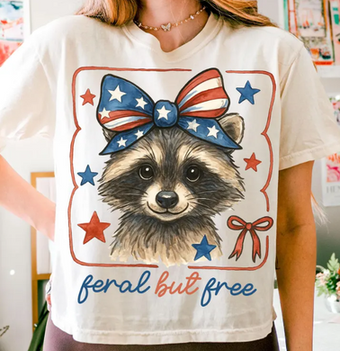 Patriotic Raccoon 