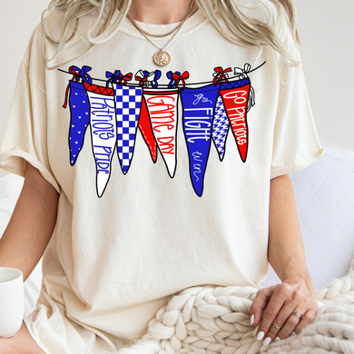 Patriots Game Day Pennant