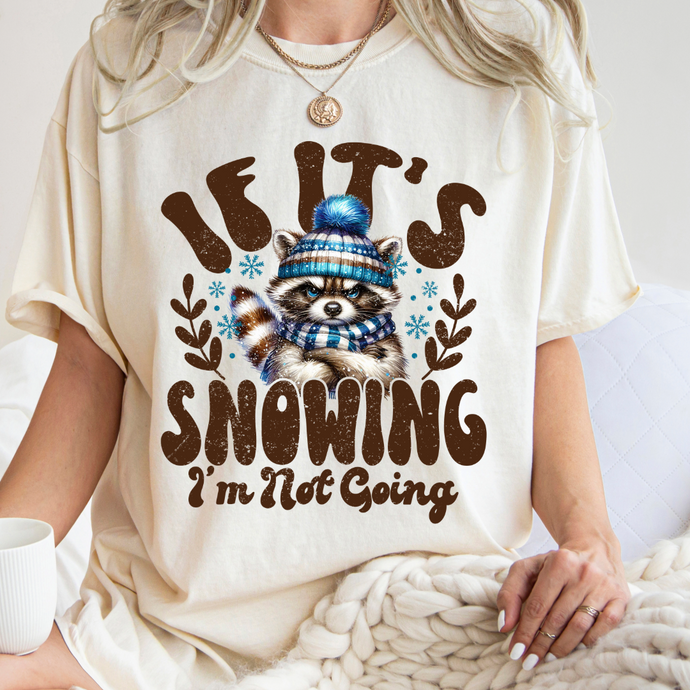 Not Going Snowing Raccoon